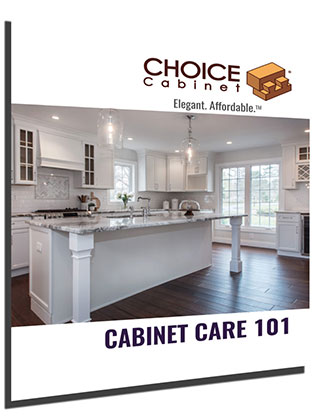 Cabinet Care 101 Cover