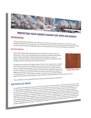 Protecting Your Cabinets from Low Temps and Humidity eBook